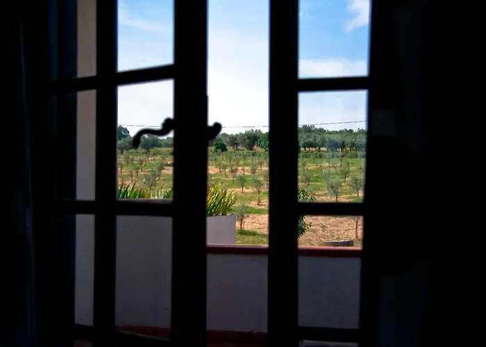 La Prediletta * Rapino